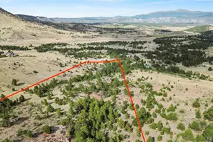 1711 Witcher Mtn. Rd, Guffey, CO 80820 - Photo 36