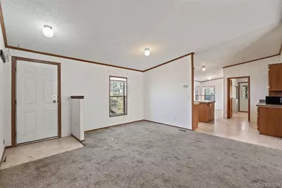 1711 Witcher Mountain Road, Guffey, CO 80820 - Photo 4