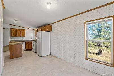 1711 Witcher Mountain Road, Guffey, CO 80820 - Photo 16