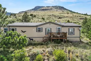 1711 Witcher Mtn. Rd, Guffey, CO 80820 - Photo 1