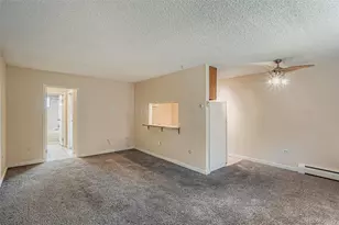1045 N Pennsylvania Street, Denver, CO 80203 - Photo 12