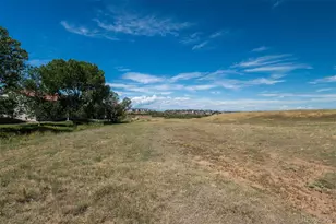 251 Las Lunas St, Castle Rock, CO 80104 - Photo 8