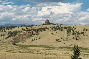 63 Welsh Cob Ln, Como, CO 80432 - Photo 6