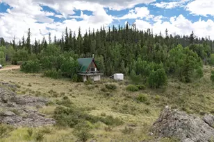 63 Welsh Cob Ln, Como, CO 80432 - Photo 12