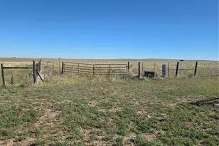 45502 Deerfield Cir, Elizabeth, CO 80107 - Photo 1