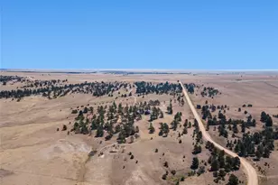 32030 Cattle Cir, Ramah, CO 80832 - Photo 36