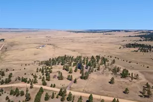 32030 Cattle Cir, Ramah, CO 80832 - Photo 38