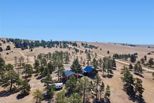 32030 Cattle Cir, Ramah, CO 80832 - Photo 42