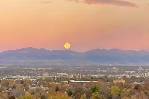 400 S Lafayette St, Denver, CO 80209 - Photo 4