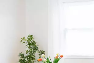 1164 Roslyn St, Denver, CO 80220 - Photo 12