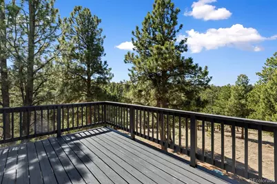 18 Mt. Powderhorn, Florissant, CO 80816 - Photo 34