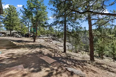 18 Mt. Powderhorn, Florissant, CO 80816 - Photo 6