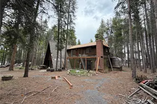 398 Deer Rd, Evergreen, CO 80439 - Photo 46
