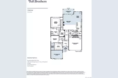 430 Leafy Aster Lane, Castle Rock, CO 80104 - Photo 2