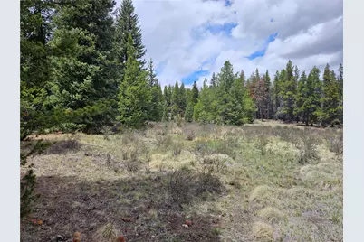 Looney Lane, Fairplay, CO 80440 - Photo 28