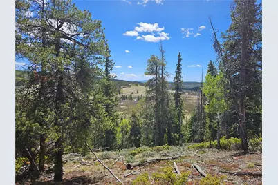 Looney Lane, Fairplay, CO 80440 - Photo 2