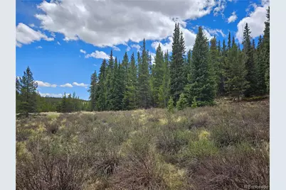 Looney Lane, Fairplay, CO 80440 - Photo 22