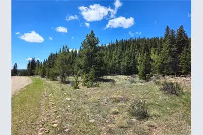 Looney Lane, Fairplay, CO 80440 - Photo 4
