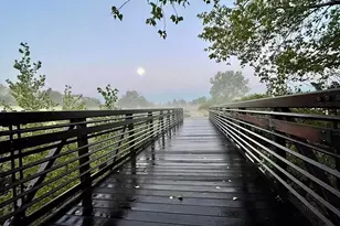 9323 Sori Ln, Highlands Ranch, CO 80126 - Photo 44