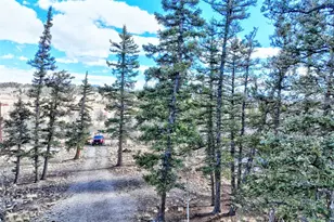 45 Swiggler, Jefferson, CO 80456 - Photo 30