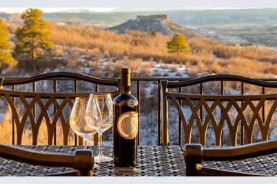 4433 Tierra Alta Drive, Castle Rock, CO 80104 - Photo 4