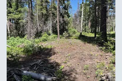 Lot 2449 Petito Drive, Fort Garland, CO 81133 - Photo 8