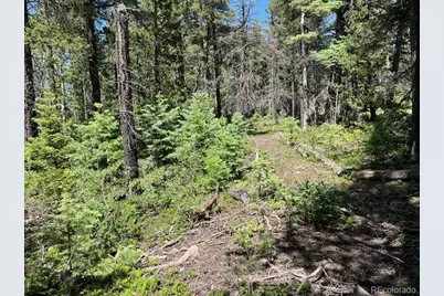 Lot 2449 Petito Drive, Fort Garland, CO 81133 - Photo 10