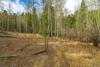 130 Grey Eagle Way, Cripple Creek, CO 80813 - Photo 8