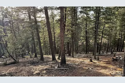 461 Paradiso Road, Divide, CO 80814 - Photo 18