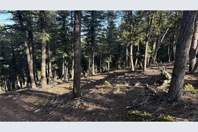 461 Paradiso Road, Divide, CO 80814 - Photo 4