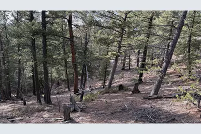 461 Paradiso Road, Divide, CO 80814 - Photo 6