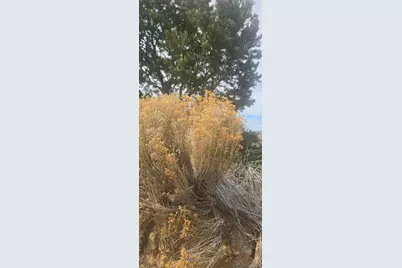 0 Bilby Road, Fort Garland, CO 81133 - Photo 6