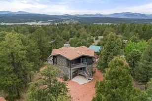 247 Pinewood Rd, Florissant, CO 80816 - Photo 1