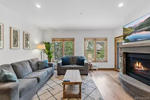 195 River Run Road, Keystone, CO 80435 - Photo 2