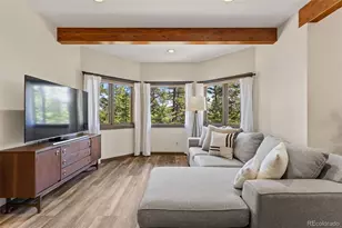 6159 S Skyline Dr, Evergreen, CO 80439 - Photo 32