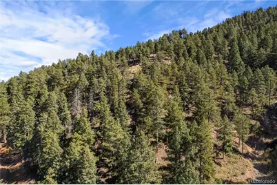 13126 Andiron Way, Larkspur, CO 80118 - Photo 8