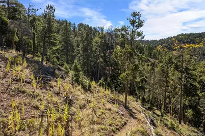13126 Andiron Way, Larkspur, CO 80118 - Photo 1