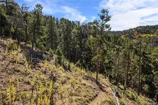 13126 Andiron Way, Larkspur, CO 80118 - Photo 1