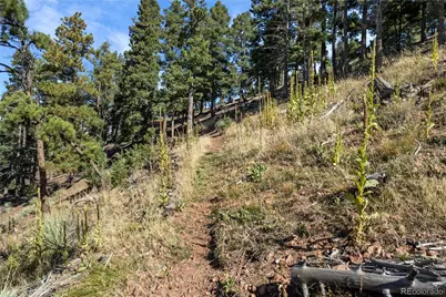 13126 Andiron Way, Larkspur, CO 80118 - Photo 12