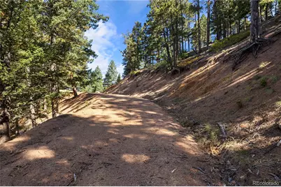 13126 Andiron Way, Larkspur, CO 80118 - Photo 4