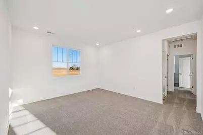 1162 Weller Street, Timnath, CO 80547 - Photo 14