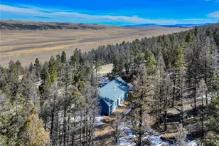 2755 Redhill Rd, Fairplay, CO 80440 - Photo 8