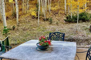 6 Bear Paw S Ct, Antonito, CO 81120 - Photo 8