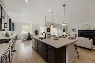 5208 Silver Hare Ct, Castle Rock, CO 80104 - Photo 4