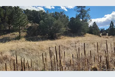 311 Kit Carson Trail, Cotopaxi, CO 81223 - Photo 16