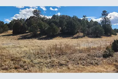 311 Kit Carson Trail, Cotopaxi, CO 81223 - Photo 26