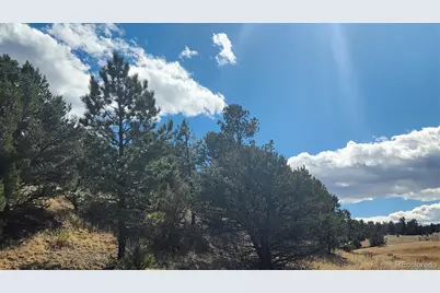 311 Kit Carson Trail, Cotopaxi, CO 81223 - Photo 14