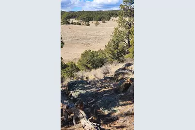 311 Kit Carson Trail, Cotopaxi, CO 81223 - Photo 8