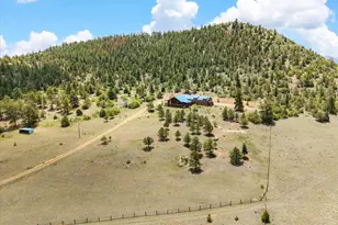 2891 Bird Point Dr, Cotopaxi, CO 81223 - Photo 8