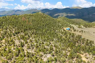 2891 Bird Point Dr, Cotopaxi, CO 81223 - Photo 12